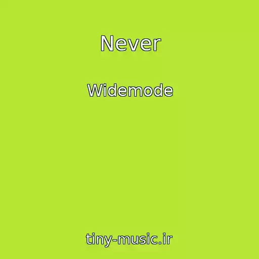 کاور آهنگ Never از Widemode