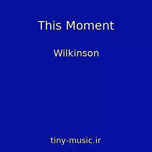 کاور آهنگ This Moment از Wilkinson