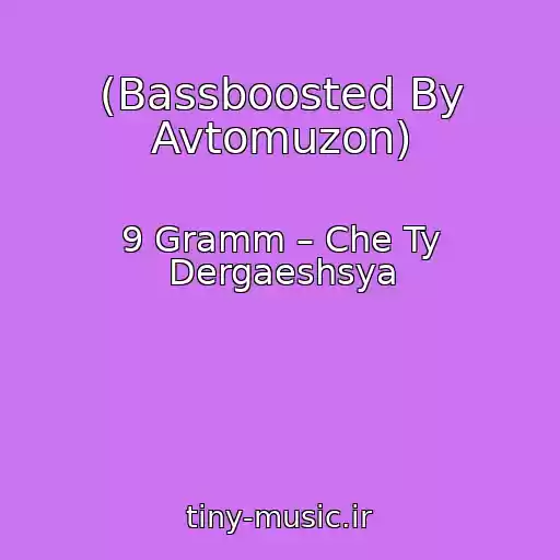 کاور آهنگ (Bassboosted By Avtomuzon) از 9 Gramm – Che Ty Dergaeshsya