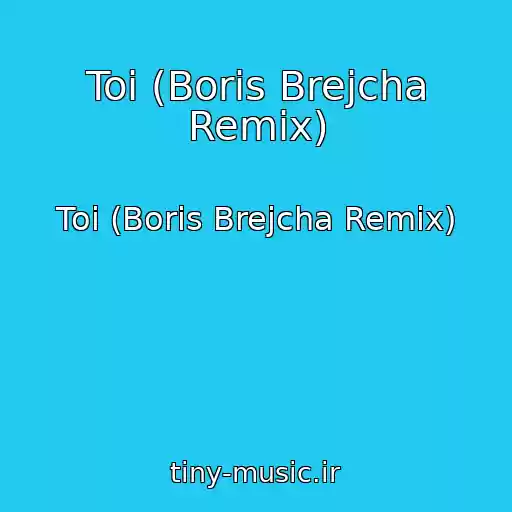 کاور آهنگ Toi (Boris Brejcha Remix) از Toi (Boris Brejcha Remix)