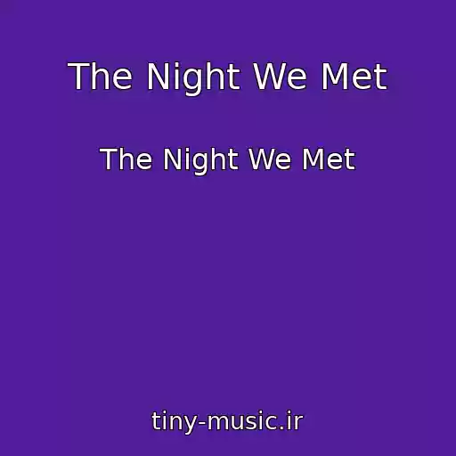 کاور آهنگ The Night We Met از The Night We Met
