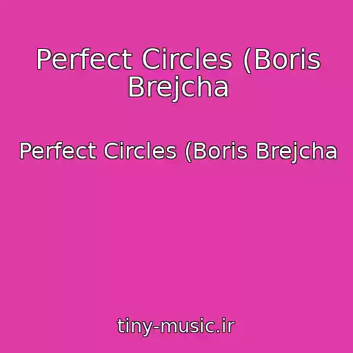 کاور آهنگ Perfect Circles (Boris Brejcha از Perfect Circles (Boris Brejcha