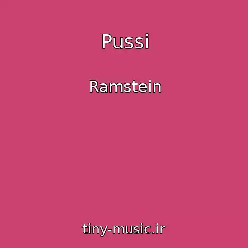 کاور آهنگ Pussi از Ramstein