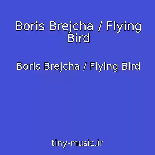 کاور آهنگ Boris Brejcha / Flying Bird از Boris Brejcha / Flying Bird