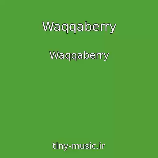 کاور آهنگ Waqqaberry از Waqqaberry