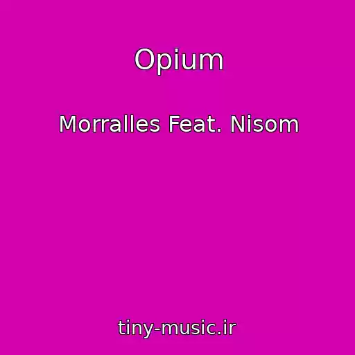 کاور آهنگ Opium از Morralles Feat. Nisom
