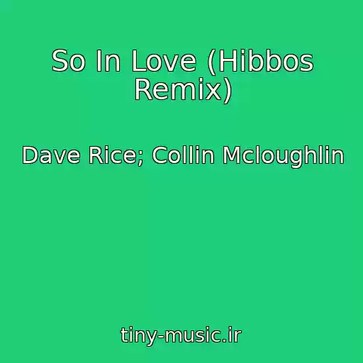 کاور آهنگ So In Love (Hibbos Remix) از Dave Rice; Collin Mcloughlin