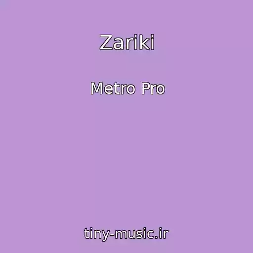 کاور آهنگ Zariki از Metro Pro