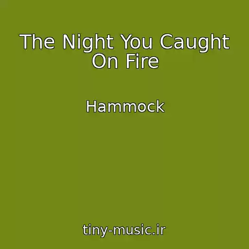 کاور آهنگ The Night You Caught On Fire از Hammock