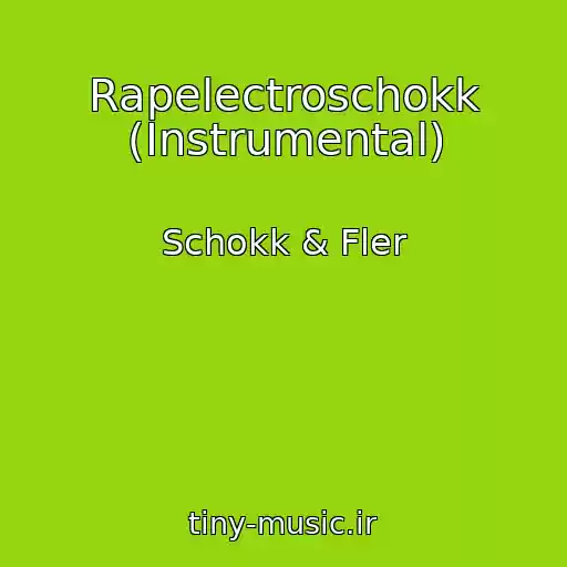 کاور آهنگ Rapelectroschokk (Instrumental) از Schokk & Fler