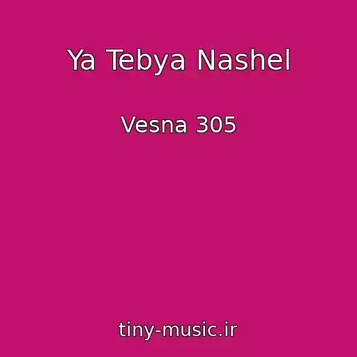 کاور آهنگ Ya Tebya Nashel از Vesna 305