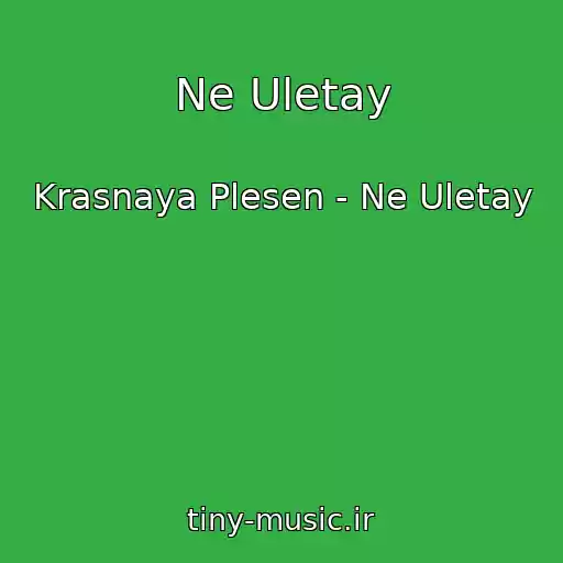 کاور آهنگ Ne Uletay از Krasnaya Plesen - Ne Uletay