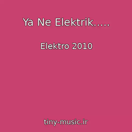 کاور آهنگ Ya Ne Elektrik..... از Elektro 2010