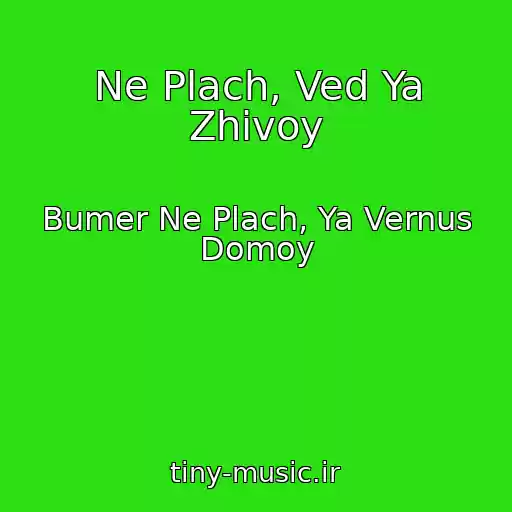 کاور آهنگ Ne Plach, Ved Ya Zhivoy از Bumer Ne Plach, Ya Vernus Domoy