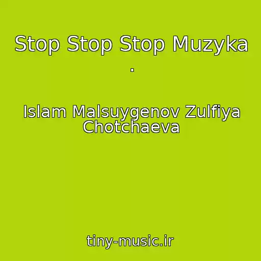 کاور آهنگ Stop Stop Stop Muzyka  . از Islam Malsuygenov Zulfiya Chotchaeva