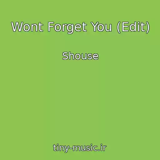 کاور آهنگ Wont Forget You (Edit) از Shouse