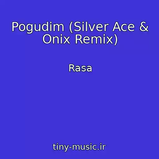 کاور آهنگ Pogudim (Silver Ace & Onix Remix) از Rasa