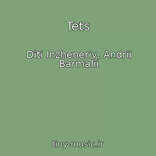 کاور آهنگ Tets از Dіti Іnzhenerіv, Andrii Barmalii