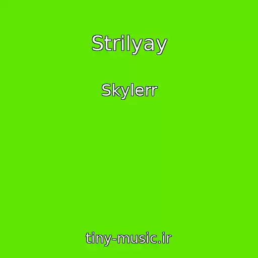 کاور آهنگ Strіlyay از Skylerr