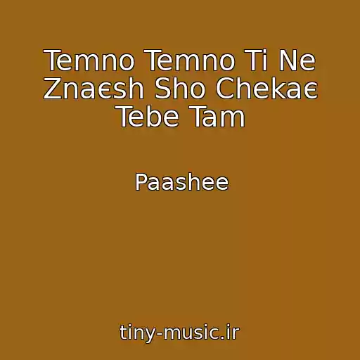 کاور آهنگ Temno Temno Ti Ne Znaєsh Sho Chekaє Tebe Tam از Paashee