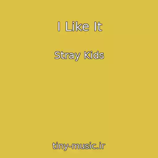 کاور آهنگ I Like It از Stray Kids