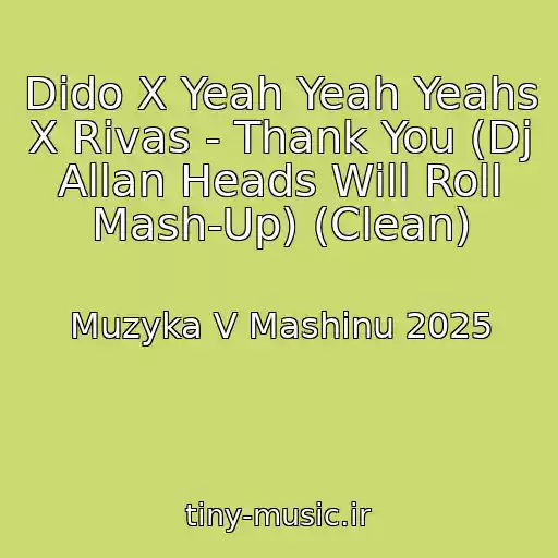 کاور آهنگ Dido X Yeah Yeah Yeahs X Rivas - Thank You (Dj Allan Heads Will Roll Mash-Up) (Clean) از Muzyka V Mashinu 2025