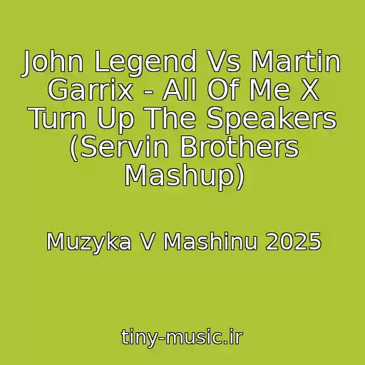 کاور آهنگ John Legend Vs Martin Garrix - All Of Me X Turn Up The Speakers (Servin Brothers Mashup) از Muzyka V Mashinu 2025