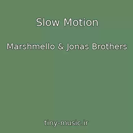 کاور آهنگ Slow Motion از Marshmello & Jonas Brothers