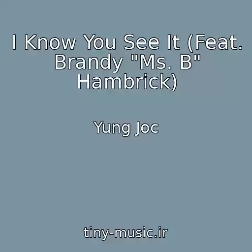 کاور آهنگ I Know You See It (Feat. Brandy "Ms. B" Hambrick) از Yung Joc