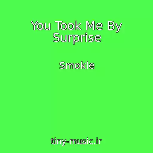 کاور آهنگ You Took Me By Surprise از Smokie
