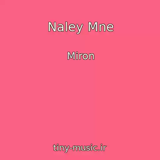 کاور آهنگ Naley Mne از Miron