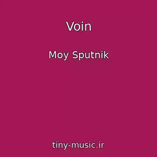 کاور آهنگ Voin از Moy Sputnik