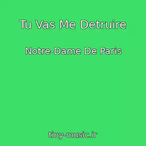 کاور آهنگ Tu Vas Me Detruire از Notre-Dame De Paris