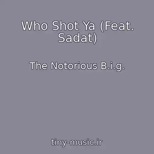 کاور آهنگ Who Shot Ya (Feat. Sadat) از The Notorious B.i.g.