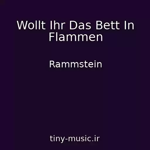 کاور آهنگ Wollt Ihr Das Bett In Flammen از Rammstein