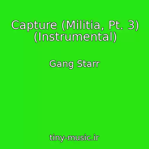 کاور آهنگ Capture (Militia, Pt. 3) (Instrumental) از Gang Starr