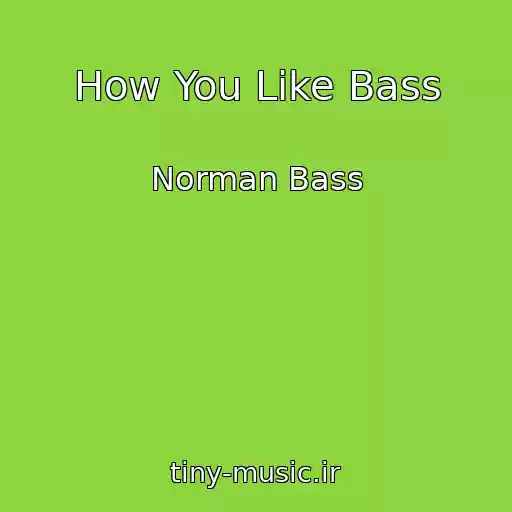 کاور آهنگ How You Like Bass از Norman Bass