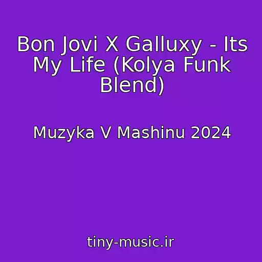 کاور آهنگ Bon Jovi X Galluxy - Its My Life (Kolya Funk Blend) از Muzyka V Mashinu 2024