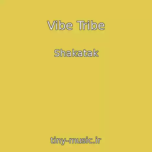کاور آهنگ Vibe Tribe از Shakatak