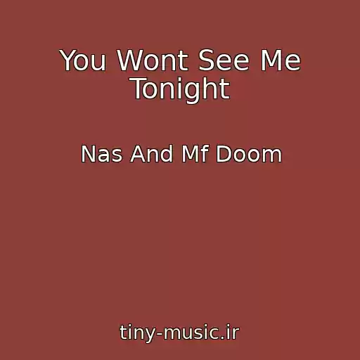 کاور آهنگ You Wont See Me Tonight از Nas And Mf Doom