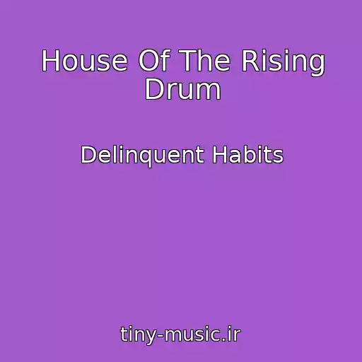 کاور آهنگ House Of The Rising Drum از Delinquent Habits