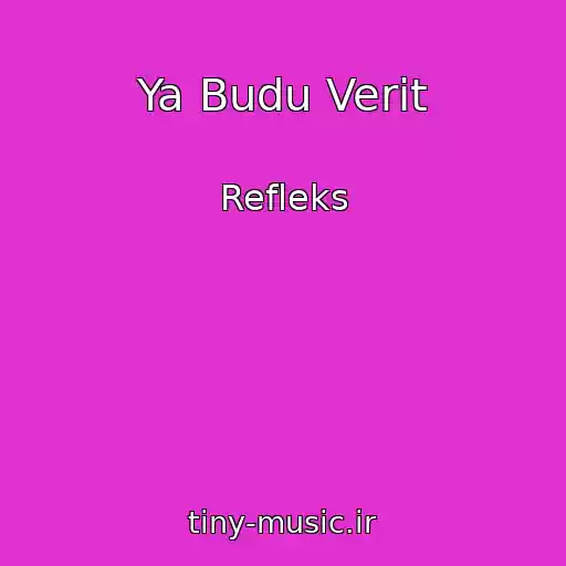 کاور آهنگ Ya Budu Verit از Refleks