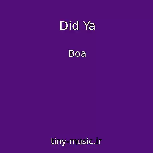 کاور آهنگ Did Ya از Boa