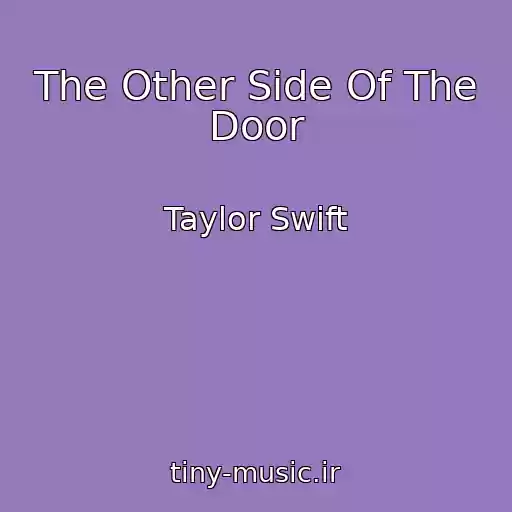 کاور آهنگ The Other Side Of The Door از Taylor Swift