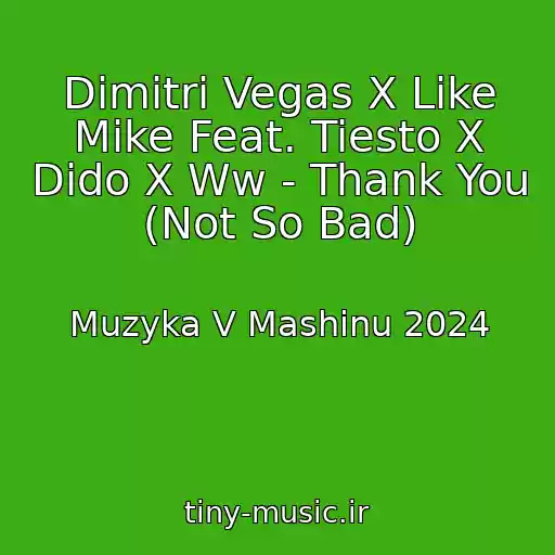 کاور آهنگ Dimitri Vegas X Like Mike Feat. Tiesto X Dido X Ww - Thank You (Not So Bad) از Muzyka V Mashinu 2024