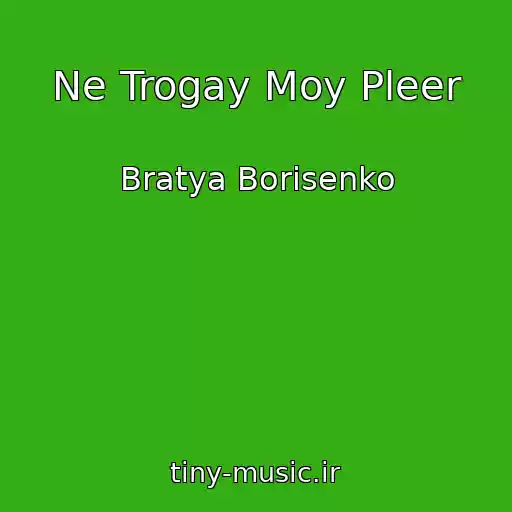 کاور آهنگ Ne Trogay Moy Pleer از Bratya Borisenko