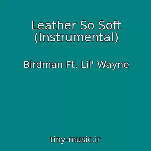کاور آهنگ Leather So Soft (Instrumental) از Birdman Ft. Lil' Wayne