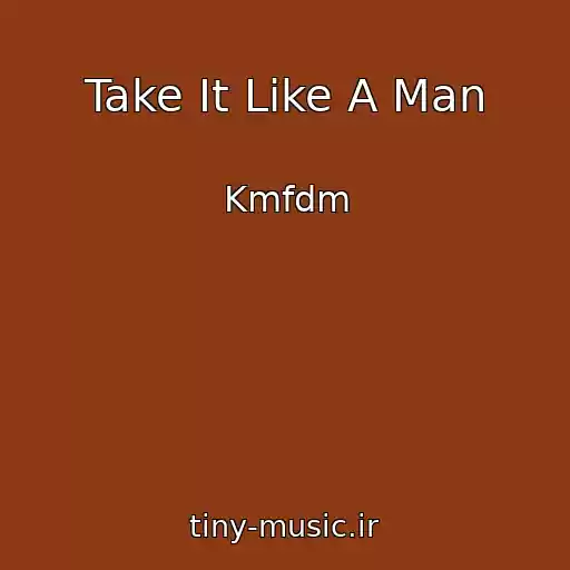 کاور آهنگ Take It Like A Man از Kmfdm