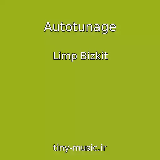کاور آهنگ Autotunage از Limp Bizkit