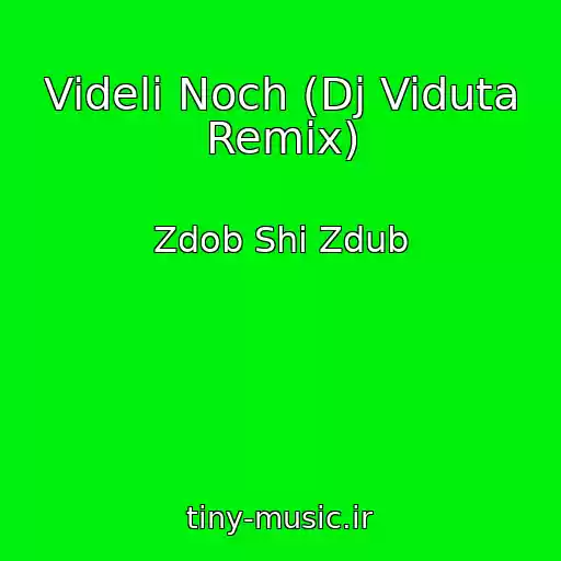 کاور آهنگ Videli Noch (Dj Viduta Remix) از Zdob Shi Zdub